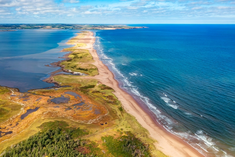 Aerial view of a long sandy beach and dunes along the eastern PEI coast